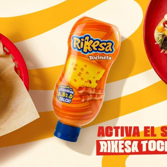 RIKESA QUESO TOCINETA AQUEEZE  330Gx18UN