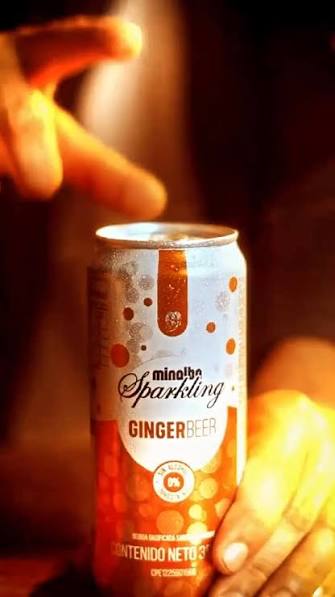 MIN SPARKLI GINGERBEER LAT 355MLX24