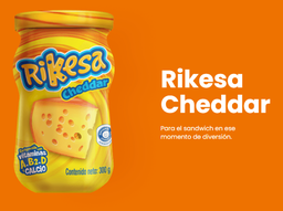 [T602] RIKESA QUESO ORIGINAL ENRIQ 300Gx12UN