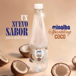 [1018262] MINALBA SPARKLING COCO PET500MLx12UN